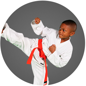 martial arts instruction