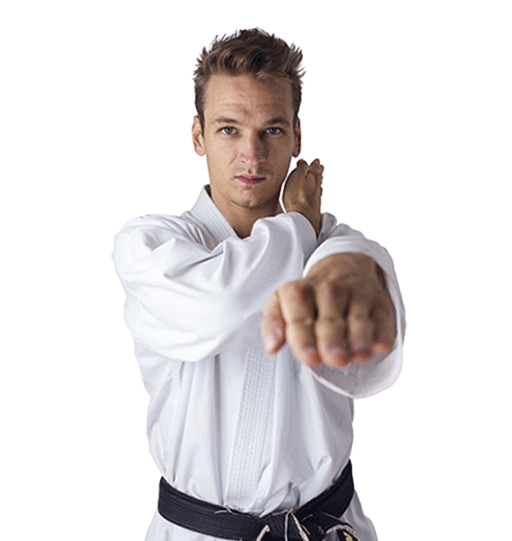 Adult Martial Arts