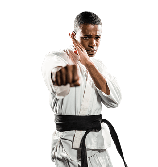 Adult Martial Arts